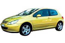 Peugeot 307 1.6 XS