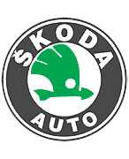   // 100   Skoda